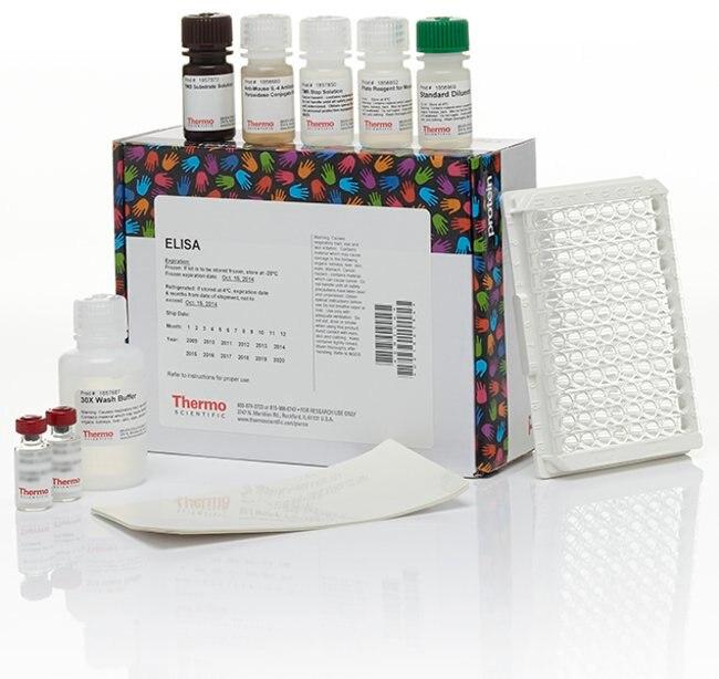 Multispecies STAT3 In-Cell ELISA Kit, Near Infrared (62214)